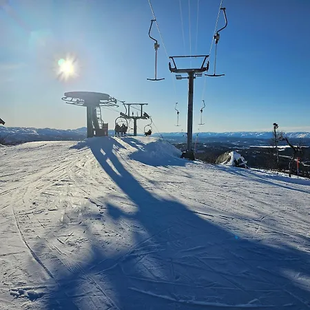 Holiday home Flott I Elgtrakket 9, 3864 Rauland Skisenter - Holtardalen Torvetjorn