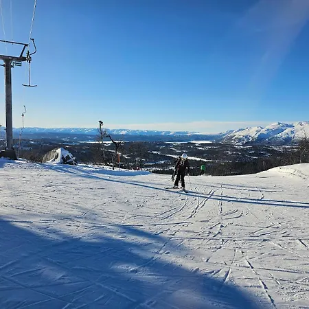 بيت للعطل Flott I Elgtrakket 9, 3864 Rauland Skisenter - Holtardalen *