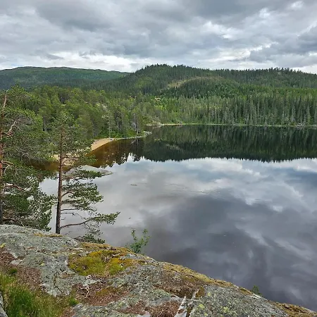 Flott I Elgtrakket 9, 3864 Rauland Skisenter - Holtardalen