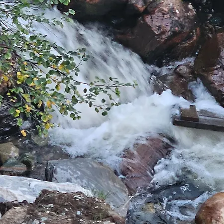 Flott I Elgtrakket 9, 3864 Rauland Skisenter - Holtardalen *