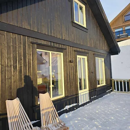 Flott I Elgtrakket 9, 3864 Rauland Skisenter - Holtardalen Holiday home *
