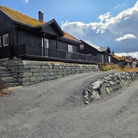 Flott I Elgtrakket 9, 3864 Rauland Skisenter - Holtardalen Holiday home Torvetjorn