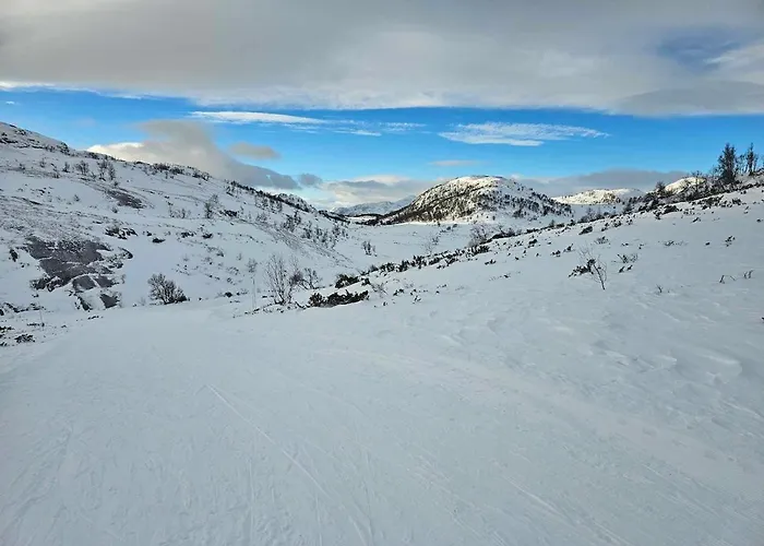 Casa de Férias Flott I Elgtrakket 9, 3864 Rauland Skisenter - Holtardalen Torvetjørn