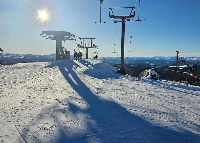 Casa de Férias Flott I Elgtrakket 9, 3864 Rauland Skisenter - Holtardalen Torvetjørn