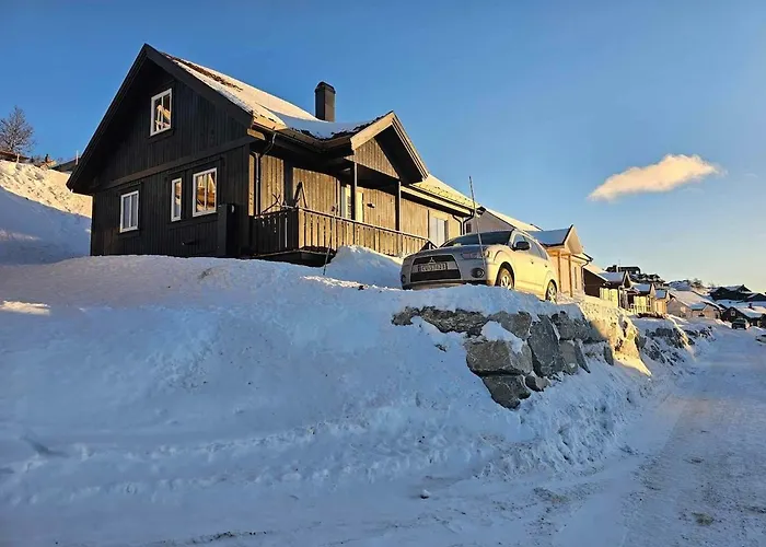 Flott I Elgtrakket 9, 3864 Rauland Skisenter - Holtardalen Torvetjørn