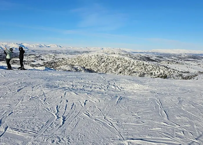 Casa de Férias Flott I Elgtrakket 9, 3864 Rauland Skisenter - Holtardalen