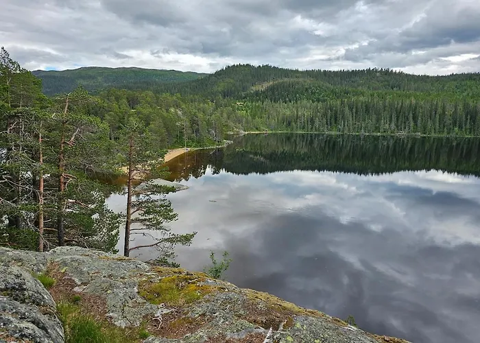 Flott I Elgtrakket 9, 3864 Rauland Skisenter - Holtardalen
