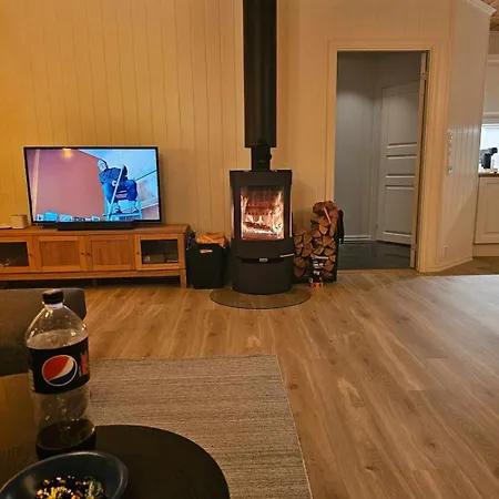 Flott I Elgtrakket 9, 3864 Rauland Skisenter - Holtardalen Ferienhaus Torvetjørn