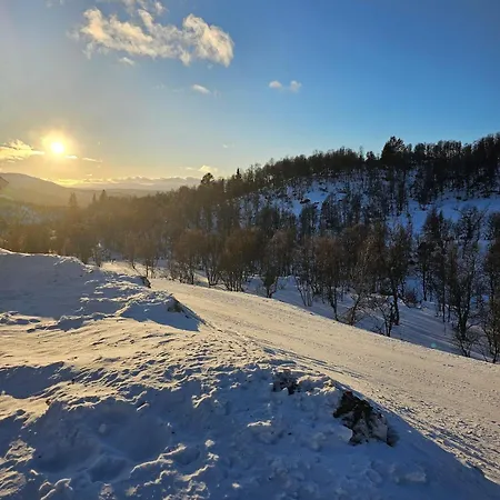 Flott I Elgtrakket 9, 3864 Rauland Skisenter - Holtardalen Ferienhaus *
