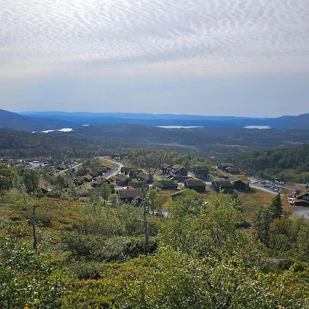 Ferienhaus Flott I Elgtrakket 9, 3864 Rauland Skisenter - Holtardalen *