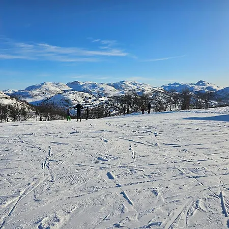 Flott I Elgtrakket 9, 3864 Rauland Skisenter - Holtardalen Ferienhaus *
