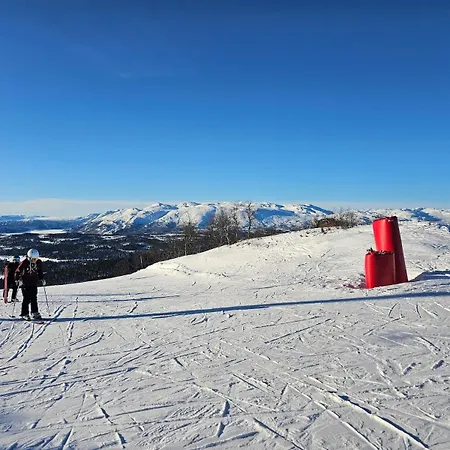 Flott I Elgtrakket 9, 3864 Rauland Skisenter - Holtardalen * Torvetjørn