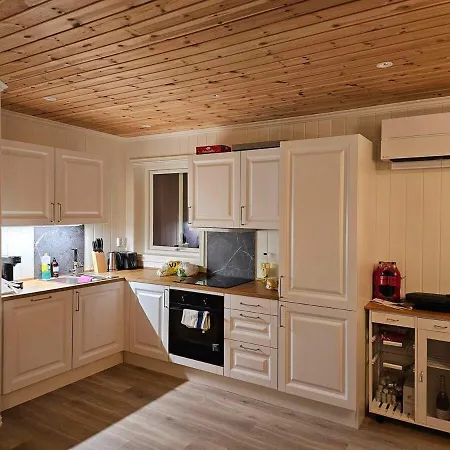 Flott I Elgtrakket 9, 3864 Rauland Skisenter - Holtardalen Ferienhaus Torvetjørn